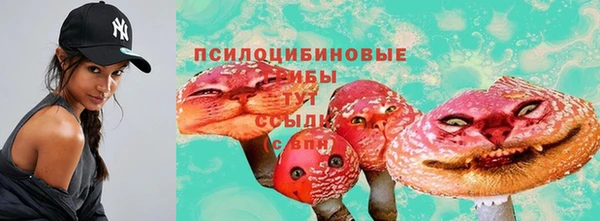 Альфа ПВП Горно-Алтайск